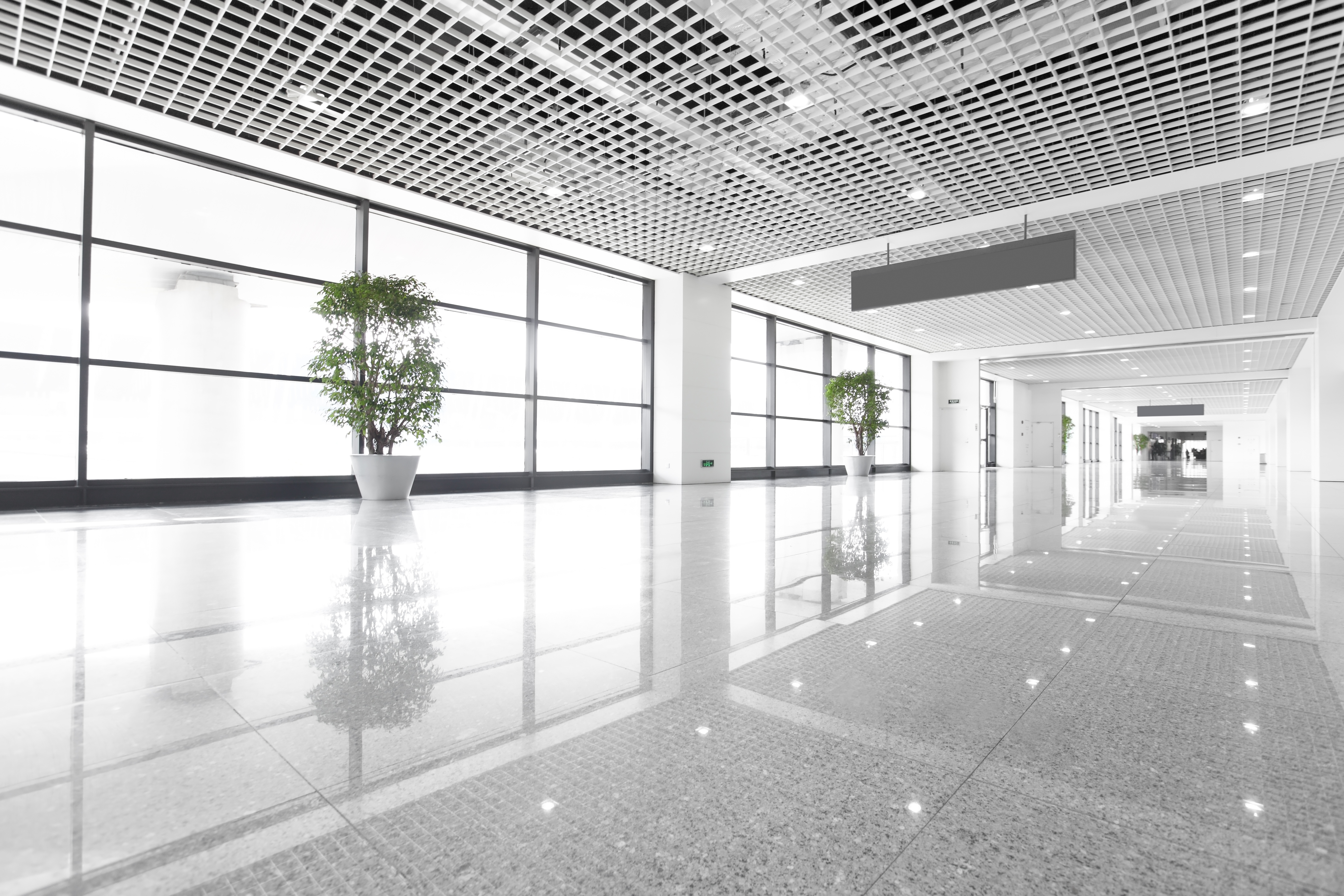 3 Reasons It Is Important to Have Clean Floors